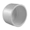Charlotte Pipe And Foundry Charlotte Pipe Schedule 40 2 in. Slip PVC Cap 1 pk PVC 02116 1600 - alternate 1
